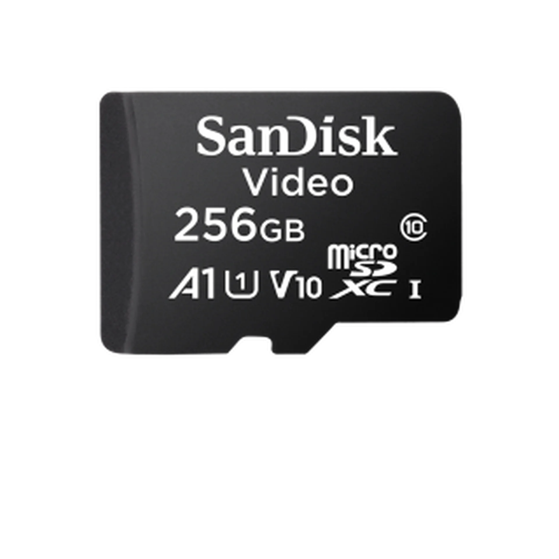 Surveillance microSD card 256GB