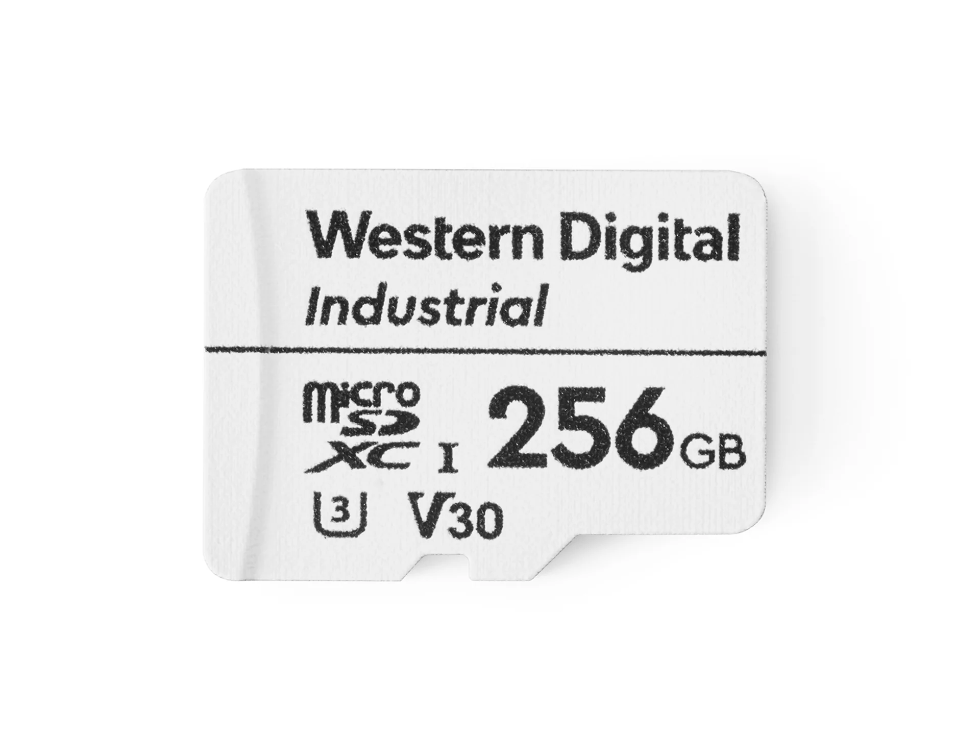 IP security microSD card 256GB
